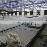 Agricultural Glass Greenhouses With Outside Shading Screen thumbnail-1