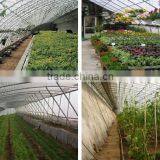 Agriculture Tunnel Plastic Tomato Commercial Greenhouse thumbnail-3