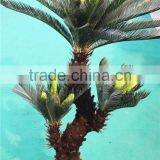 Home Garden Decorative 30cm to 200cm Height Artificial Bonsai Cycas EST11 2705 thumbnail-1
