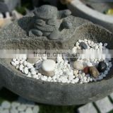 Tortoise Carving Water Pot GAF291