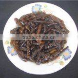 Antaratic Seasoning Hairong 1000g thumbnail-3