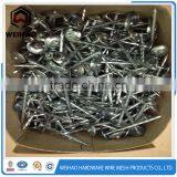 Manufacturers of Umbrella Head Roofing Nails 9G 2.5" thumbnail-3