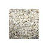 Sunflower Seed&kernels thumbnail-1