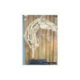 Teak Wood Branch Head Horse thumbnail-1