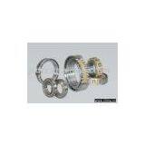 Single Row Cylindrical Roller Bearing thumbnail-1