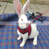 Hamster Bunny Chest Strap Harnesses Pet Rabbits Harness With Leash thumbnail-5