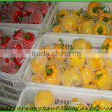 (HOT) Colourful Pepper:Exported to Britain, the Middle East, Southeast Asia thumbnail-3