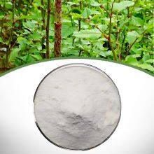 Polygonum Cuspidatum Extract