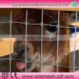 Galvanized Cheap Cattle Fencing Wire Mesh