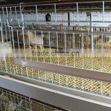 baby chick cage/layer cage/broiler cage for sale
