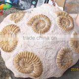 Hot Sale Customized Handmade Fiberglass Marine Fossils