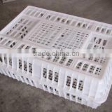 75x55x28 best quality cheap price plastic transport cage basket for chicken skype yolandaking666
