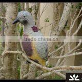 Outdoors Shooting Dove Decoy thumbnail-1