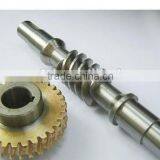Stainless Steel Power Transmission Mechanical Parts Worm Gear,worm and Worm Gear thumbnail-4