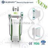 Fast Break Lipocyte Cryolipolysis Rf Vacuum Body Shaping Home Use Cryolipolysis Cellulite Reduce Machine Zeltiq thumbnail-1