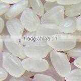 White Rice JAPONICA/LONG GRAIN/JASMIN GOOD QUALITY(/Viber/Whatsaap:+84965152844) thumbnail-1