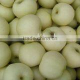 Golden Apple thumbnail-1