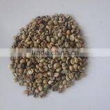 VIETNAM GREEN ROBUSTA COFFEE HIGH GRADE- EMAIL:EMILYTRAN@VISIMEX.COM