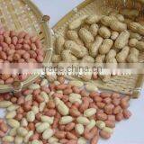 Good Quality Shandong Wholesale Peanuts thumbnail-1