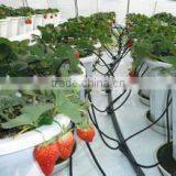 Greenhouse Water-saving Irrigation Plastic Arrows Drippers thumbnail-3