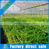 Huifa Professional Commercial Hydroponics Systems for Lettuce/ Spinach Growing thumbnail-6