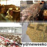 Neweek Small Animal Fodder Corn Flour Mill Cassava Grinding Machine thumbnail-5