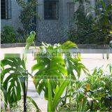 G Series Micro Sprinkler for Garden and Lawn thumbnail-6