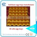 30 Holes Pulp Paper Disposable Egg Carton thumbnail-2