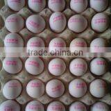 30 Holes Digital Print Machine/egg Printer/Inkjet Printer thumbnail-2