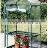 Greenhouse Planting / Greenhouse Plants With PE Cover thumbnail-1