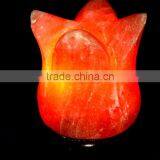 Wild Flower Lamp thumbnail-1