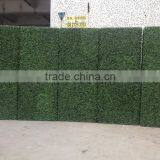 Plastic Material and Ornaments Type Artificial Boxwood Panel thumbnail-4