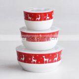 Set of 3pcs ceramic bowl with plastic lid
