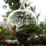 New Design With High Quality Wholesale Glass Globle Hanging Terrarium thumbnail-2