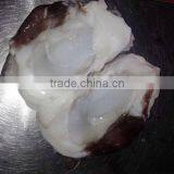 Food Seasoning ,Frozen Giant Squid Neck thumbnail-2
