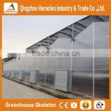 Heracles Versatile Multi Span Poly Film Greenhouse for Hydroponic Growing Systems of NFT and Soilless Systems thumbnail-5