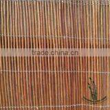 Natural Fern Fence thumbnail-1