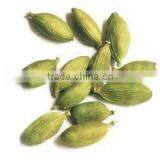 Cardamom Oil thumbnail-4