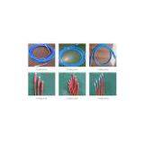 Coating Hose thumbnail-1