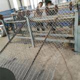 Hot Sale Product Galvanized Chain Link Fence for Zoo / Chainlink Wire Fence thumbnail-2
