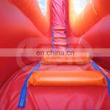 Cheap Clearance Huge Bounce Blow up Inflatable Water Slide Outdoor thumbnail-5
