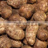 High Quality Fresh Taro Root thumbnail-2