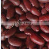 Red Kidney Bean thumbnail-2