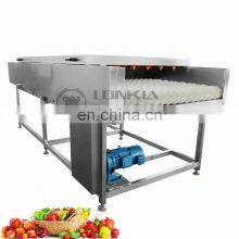 Industrial Brush Roller Fruit Washing Vegetable Washer Apple Fruit Washing Machine thumbnail-2