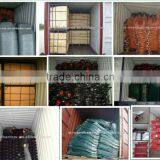 Wheel Barrow WB5601 thumbnail-4