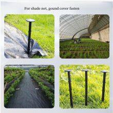 Plastic Garden Edging Nails Spiral Landscape Edging Spikes Anchoring Spikes for Paver Edging Grass Barrier Artificial Turf thumbnail-4