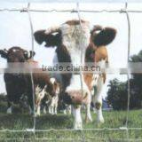 High Zinc Coating Galvanized Grassland Fence thumbnail-1