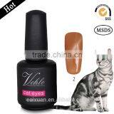 High Quality UV LED Gel Polish Cat Eyes Gel Nail Polish Cat Eyes Gel Polish thumbnail-6