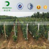 High Quality Fruit Protection Paper Bag thumbnail-1