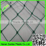PE Plastic Anti Bird Netting/agricultural Anti Bird Net/cheap Bird Netting for Fruit Cover thumbnail-5